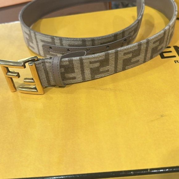 Fendi Brown and Gold women Belt Bag - Picture 16 of 17